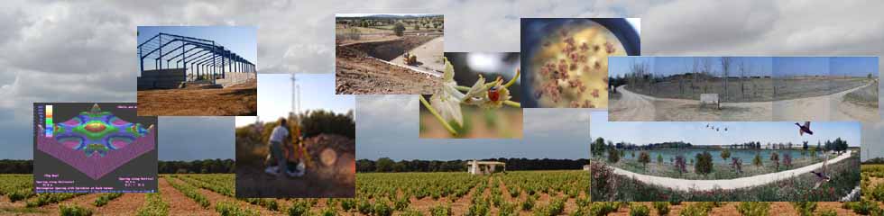 Bienvenido a DEMETER RURAL