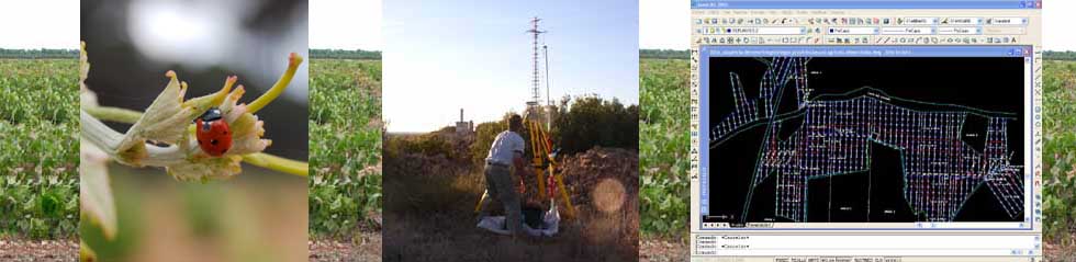 Servicios Deméter Rural, S.L.